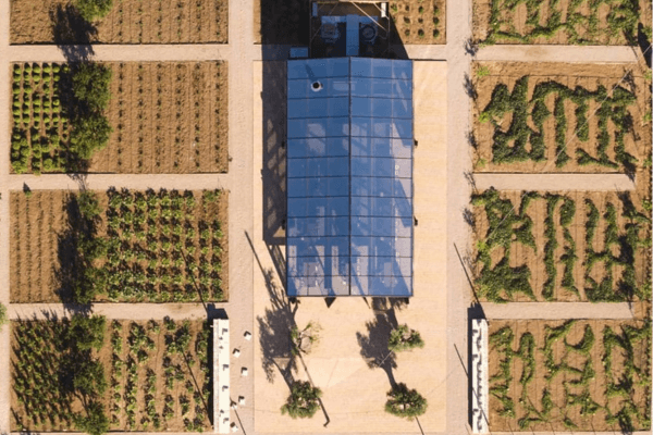 The Margi Farm